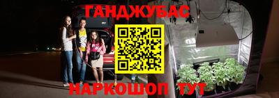 стаф Владимир