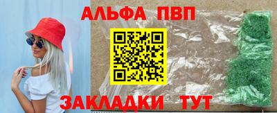 стаф Владимир